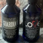 Guardian Love
